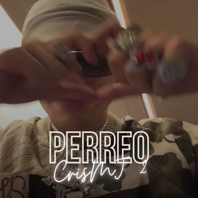 PERREO CRIS MJ 2 (Chill)