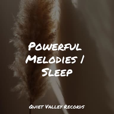Powerful Melodies | Sleep
