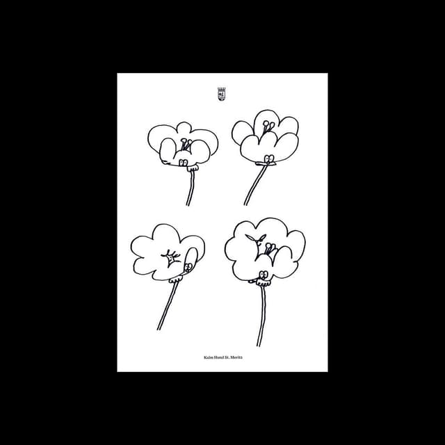 Poppies