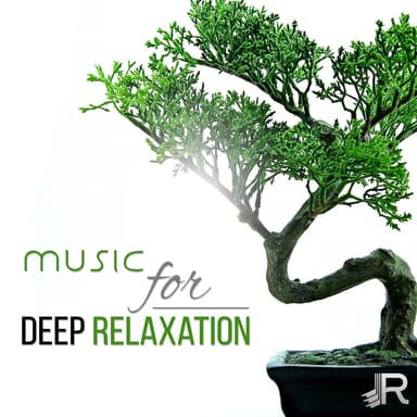 Music for Deep Relaxation: 50 Zen Tracks, Healing Meditation, Namaste Yoga, Pure Spa Massage Music, Reiki Treatment, Serenity