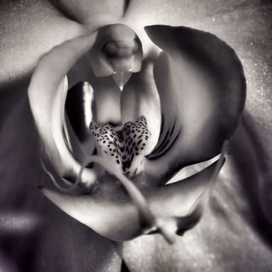 The Art of Surrender