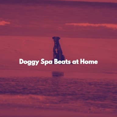 Doggy Spa Beats at Home
