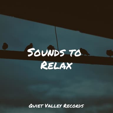 Sounds to Relax