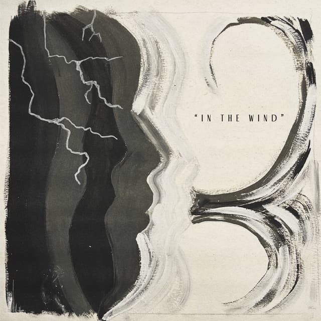 In The Wind
