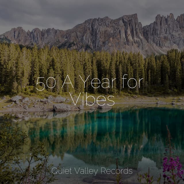 50 A Year for Vibes