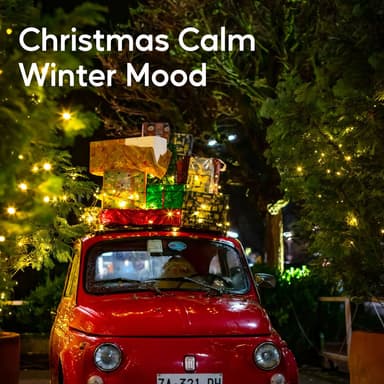 Christmas Calm Winter Mood (Background Instrumentals)