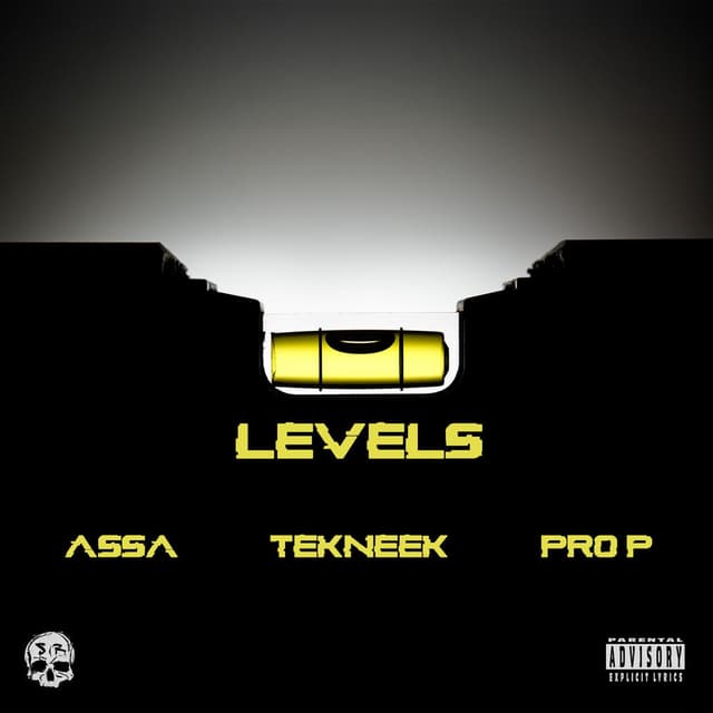 Levels (feat. Tekneek & Pro P)