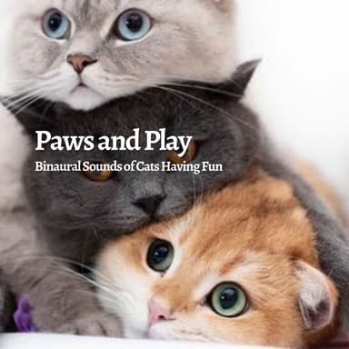 Paws and Play: Binaural Sounds of Cats Having Fun