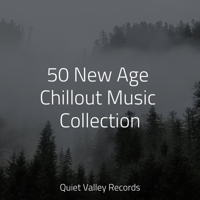 50 New Age Chillout Music Collection