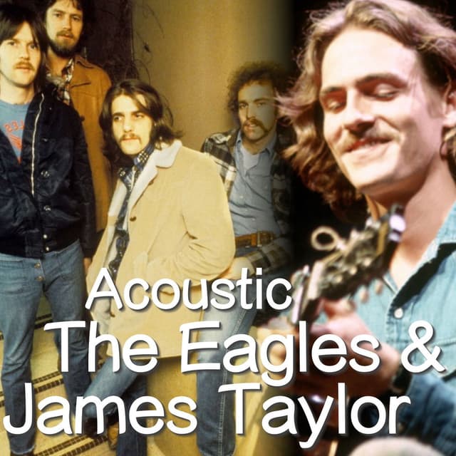 Acoustic (The Eagles & James Taylor Collection)