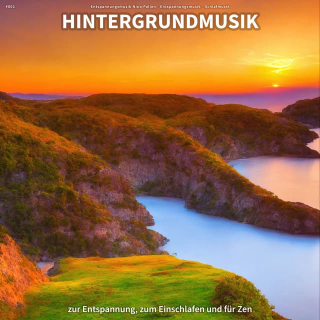 #001 Hintergrundmusik zur Entspannung, zum Einschlafen und für Zen