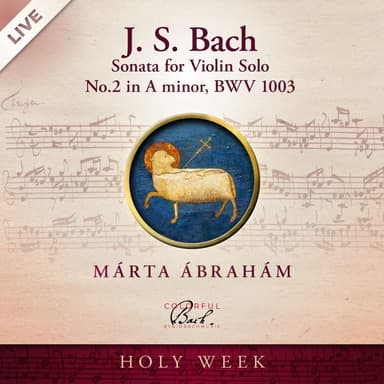 Violin Sonata No. 2 in A Minor, BWV 1003: III. Andante