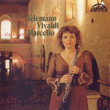 Oboe Concerto in D Minor, S. Z799: I. Andante