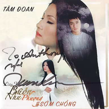 Liên khúc Buồn Như Phượng & Sớm chồng (Instrumental)