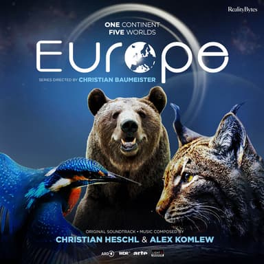 Bats Hunting (from "Europe: One Continent - Five Worlds")