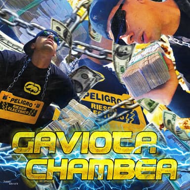GAVIOTA CHAMBEA (JOVEN FLEXER)