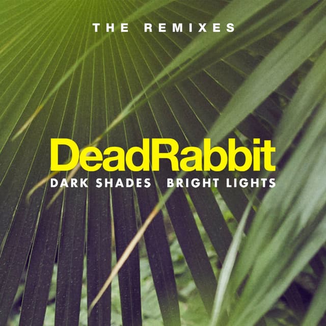 Dark Shades / Bright Lights (The Remixes)