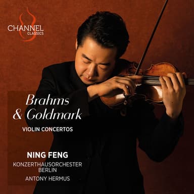 Violin Concerto, Op. 28: III. Moderato - Allegretto