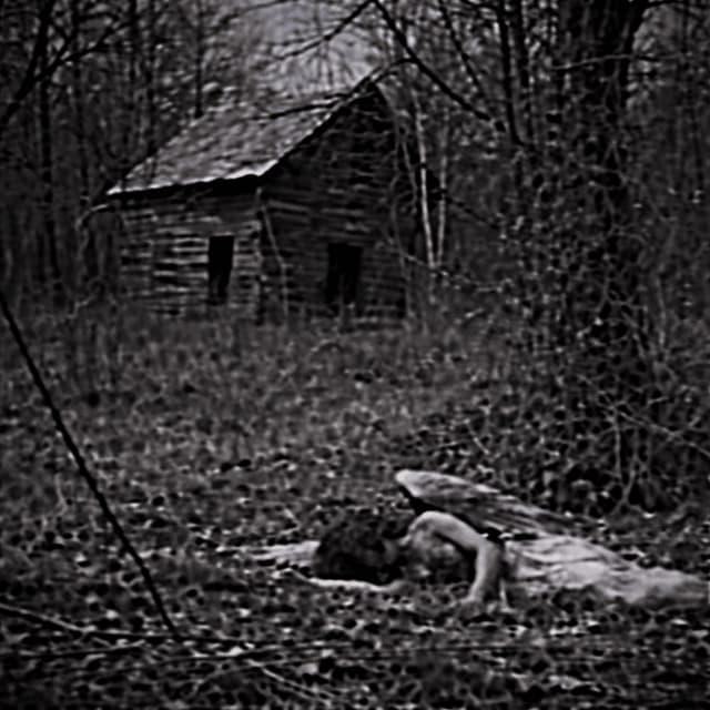 FALLEN