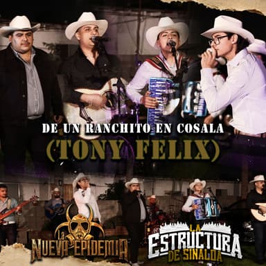 De Un Ranchito En Cosala (Tony Felix) (En Vivo)
