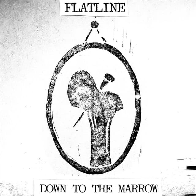 DOWN TO THE MARROW