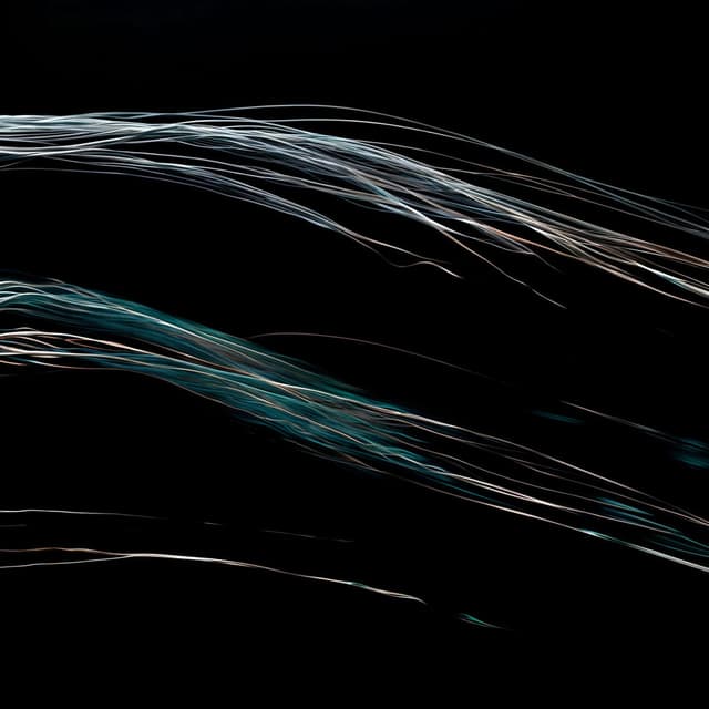 wind-blown. (2023 demos)