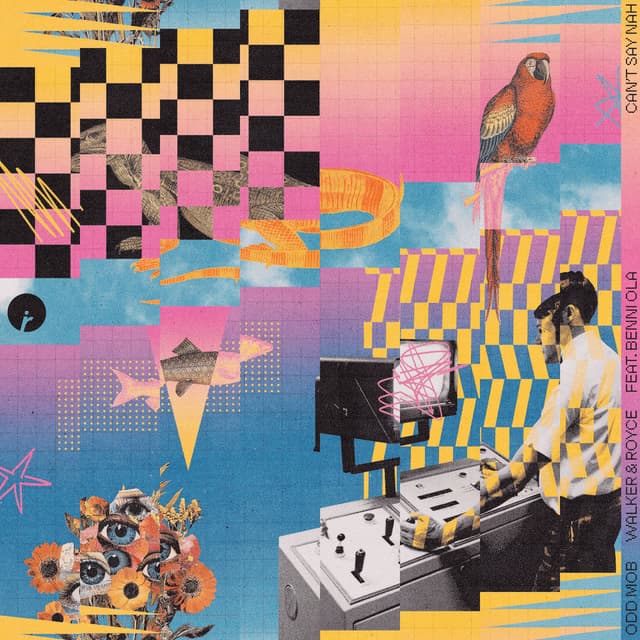 Can't Say Nah (feat. Benni Ola)