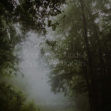 Relaxation | Soothing Sounds | Spa & Relaxation
