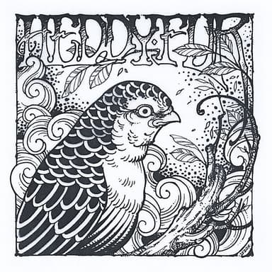 Bird Eye Soul
