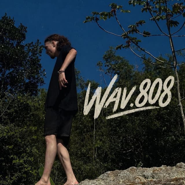 Wav.808