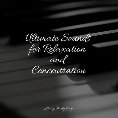 Reiki Piano Melodies to Float Away to an Island of Relaxation