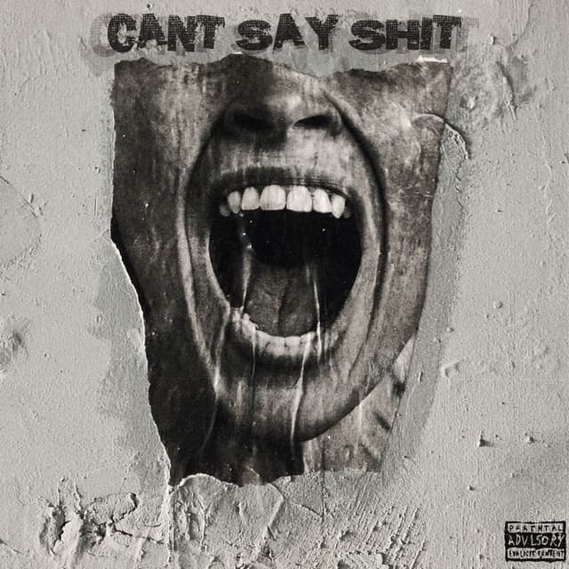 CAN'T SAY SHIT (feat. Scar$ & ZANDV)
