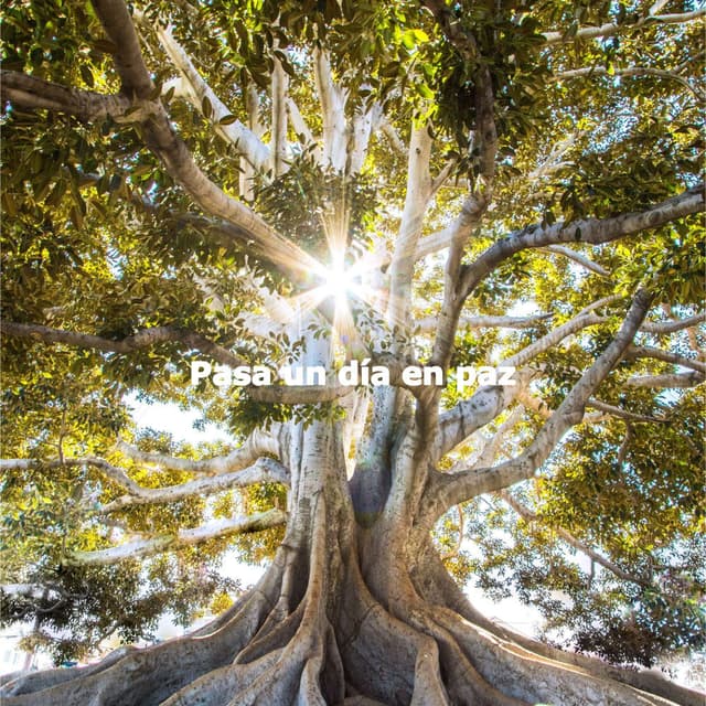Pasa un día en paz
