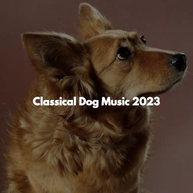 Classical Dog Music 2023