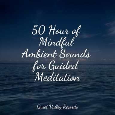 50 Hour of Mindful Ambient Sounds for Guided Meditation