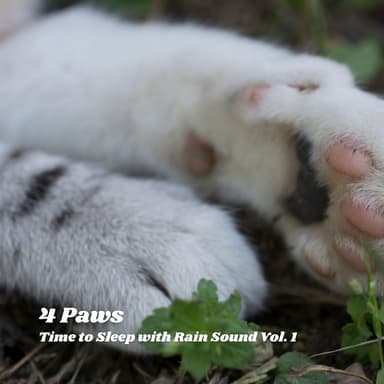 4 Paws: Time to Sleep with Rain Sound Vol. 1