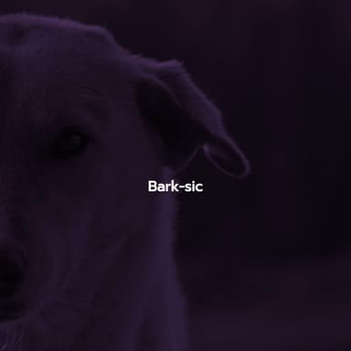 Bark-sic