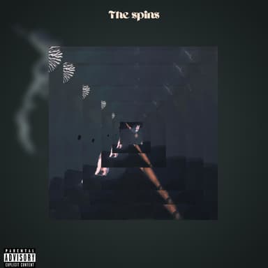 The spins
