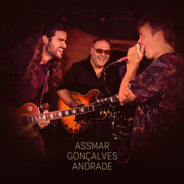 Assmar, Gonçalves & Andrade