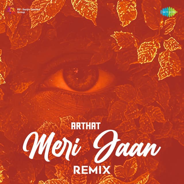 Meri Jaan (Remix)