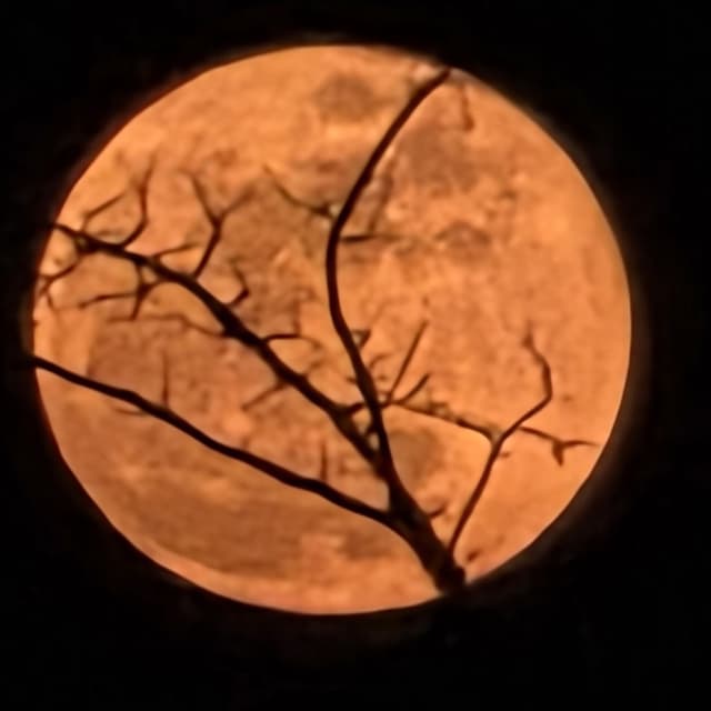 Under the Red Moon