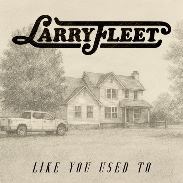 Like You Used To