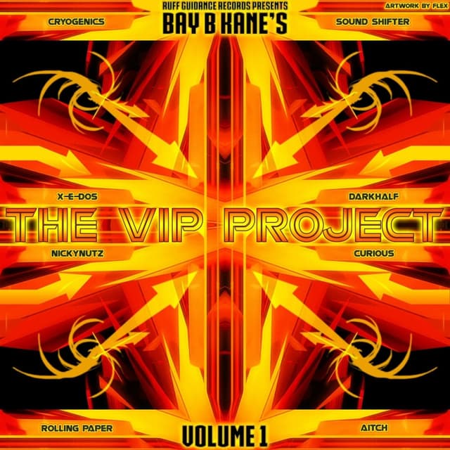 The VIP Project Vol. 1