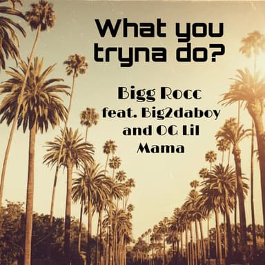 What you tryna do? (feat. Big2daboy & OG Lil Mama)