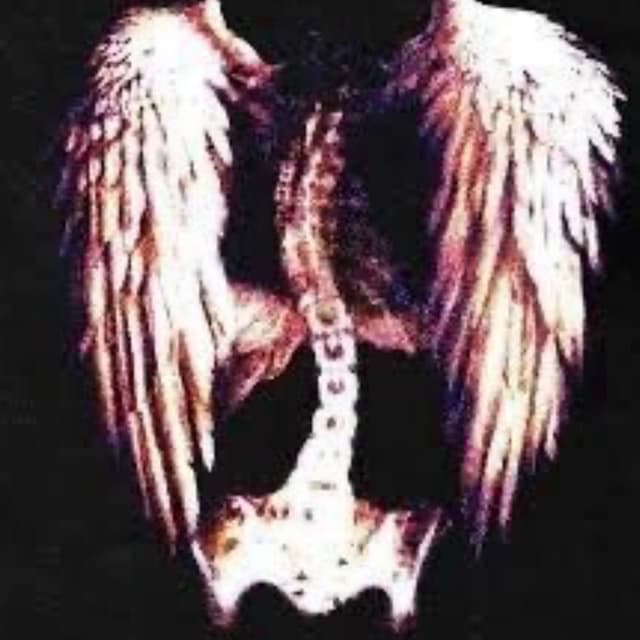 Wings