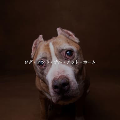 ワグ・アンド・チル・アット・ホーム