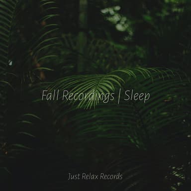 Fall Recordings | Sleep