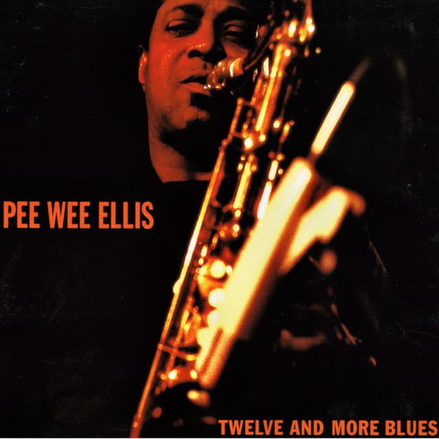 Twelve and More Blues
