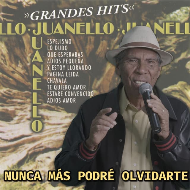 Nunca Más Podré Olvidarte (Cover)