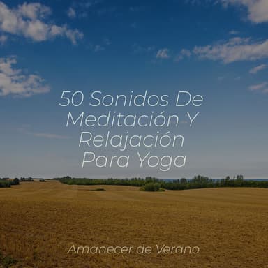 50 Sonidos De Meditación Y Relajación Para Yoga